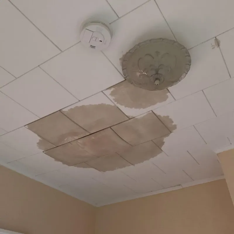 Ceiling Water Damage Repair in Honey Brook, PA