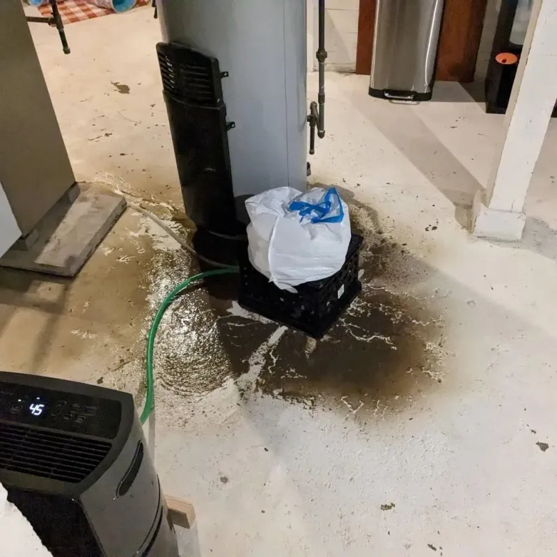 Sewage Backup Cleanup Service in Honey Brook, PA